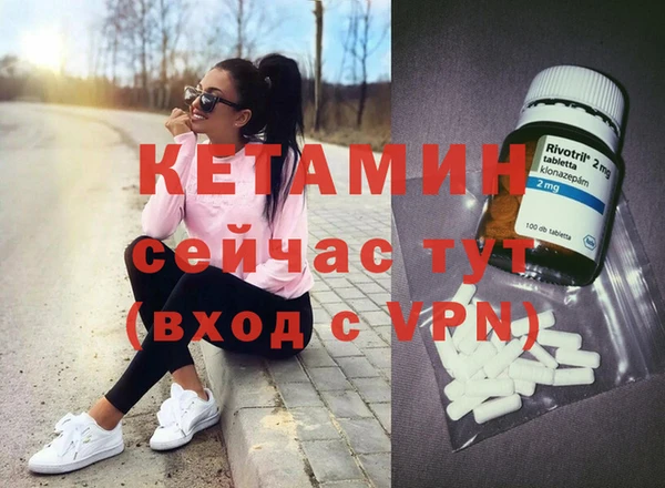 сатива Вяземский