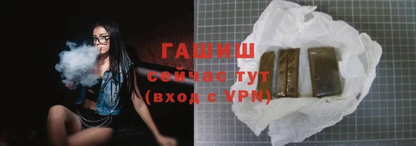 сатива Вяземский