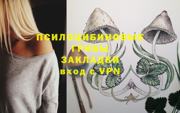 трава Горно-Алтайск