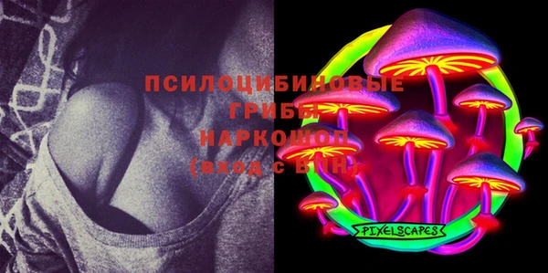 сатива Вяземский