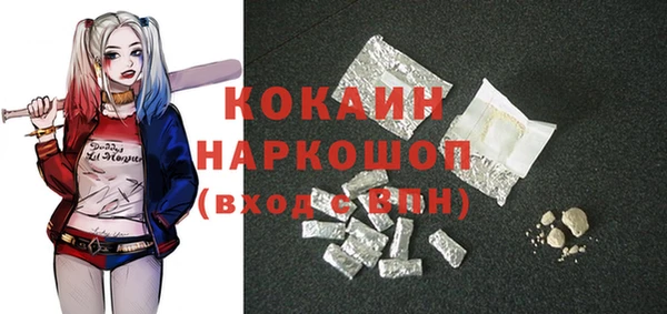 сатива Вяземский