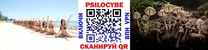 Купить  Камбарка  Псилоцибиновые грибы Magic Shrooms 